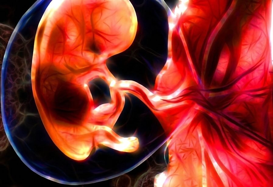 EGG-Embryo Pooling