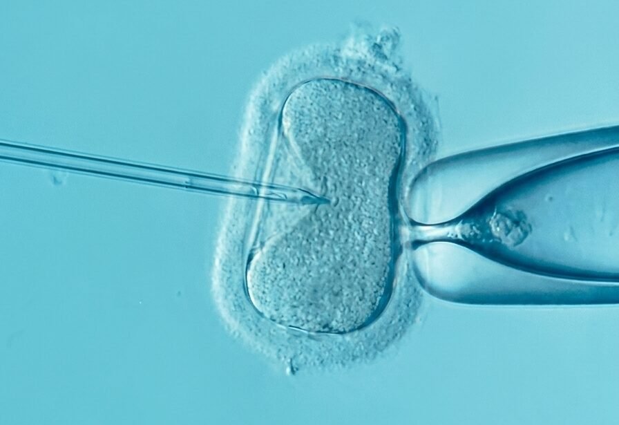 Oocyte Freezing